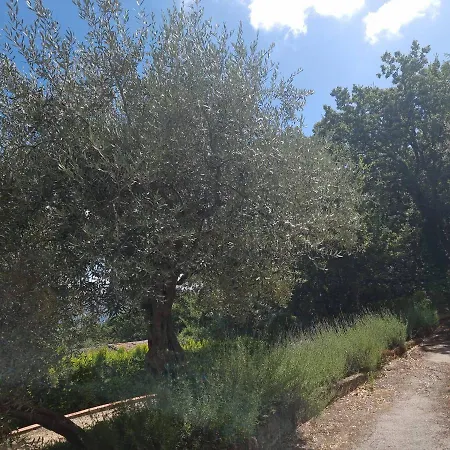 Acanthos Panoramic Terrace Appartement